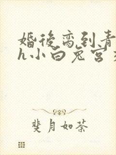 婚后脔到青梅哭h小白兔宫交h