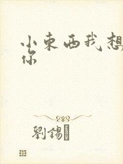 小东西我想弄坏你封面