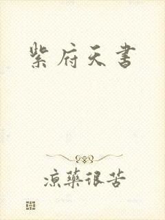 紫府天书