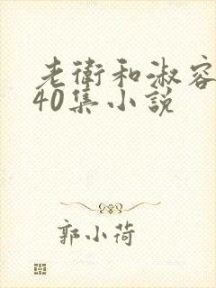 老卫和淑容1-40集小说