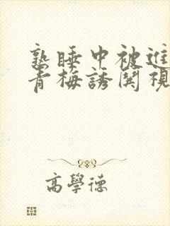 熟睡中被进了H青梅诱哄视频