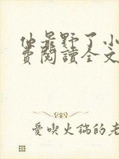 他最野了小说免费阅读全文