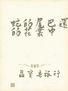 蛇的尾巴还在我的花丛中