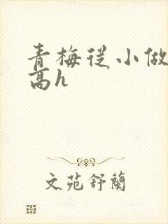 青梅从小做到大高h封面