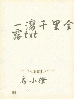 一泻千里金银花露txt