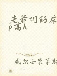 老爷们的床奴np高h