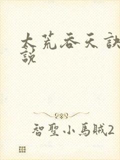 太荒吞天诀 小说