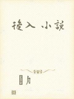 后入 小说