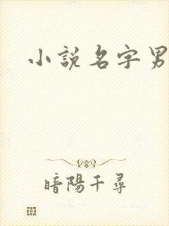 小说名字男生