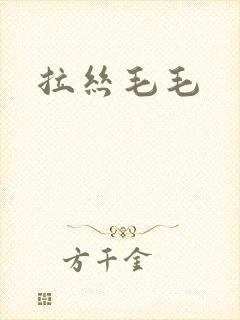 拉丝毛毛