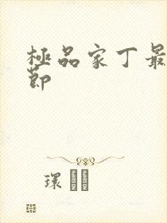 极品家丁最新章节