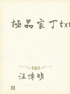 极品家丁txt