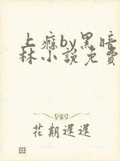 上瘾by黑暗森林小说免费