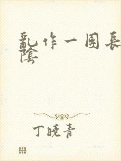 乱作一团长日光阴