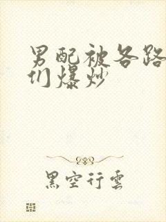 男配被各路大佬们爆炒