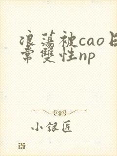 浪荡被cao日常双性np