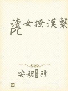 渣女撩汉系统NPC