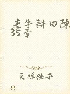 老牛耕田陈雪435章封面