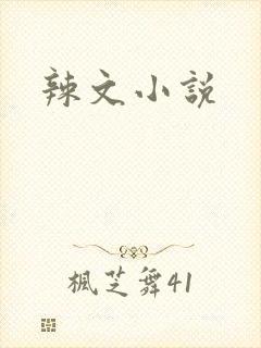 辣文小说