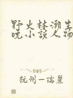 野火林潮生林晚晚小说人物野火