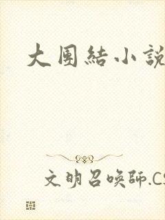 大团结小说全文