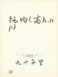 纯肉(高h.np)