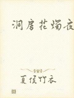 洞房花烛夜小说
