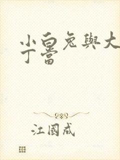 小白兔与大灰狼丁当