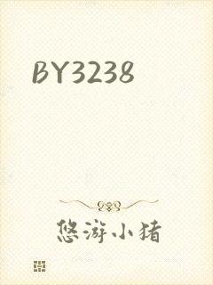 BY3238封面