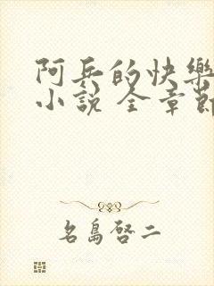 阿兵的快乐生活小说 全章节阅读免费