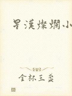 星汉灿烂小说