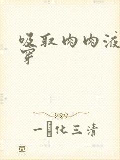 吸取肉肉液液快穿