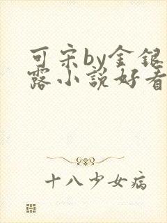 可宋by金银花露小说好看吗