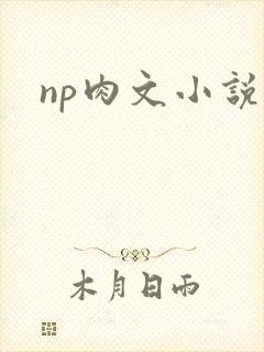 np肉文小说