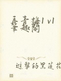 弄青梅1 v1笔趣阁