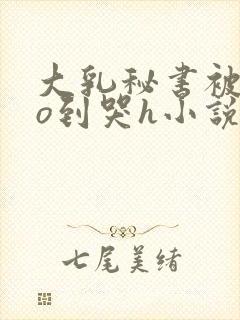 大乳秘书被cao到哭h小说