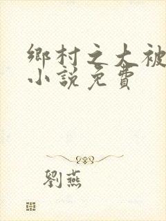 乡村之大被同眠小说免费