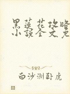 黑莲花攻略手册小说全文免费阅读笔趣阁