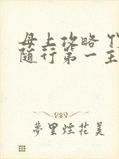 母上攻略 竹影随行第一主板