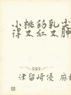 小桃的乳尖被吸得又红又肿