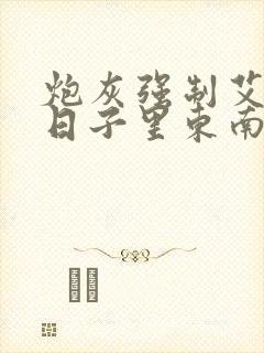 炮灰强制艾草的日子里东南枝小说