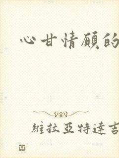 《心甘情愿的雌服》小说封面