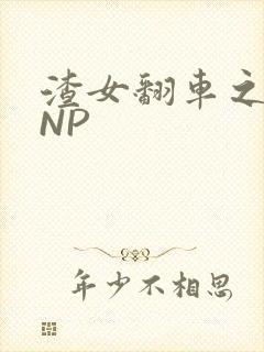 渣女翻车之后 NP