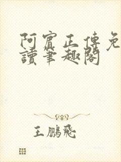 阿宾正传免费阅读笔趣阁