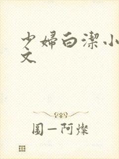 少妇白洁小说全文