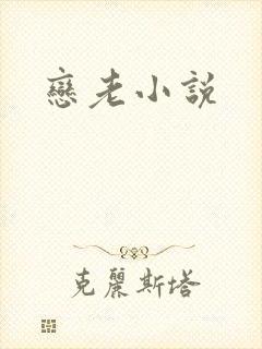 恋老小说