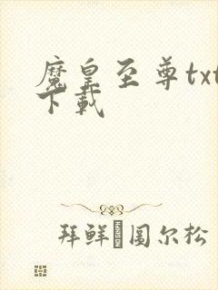 魔皇至尊txt下载