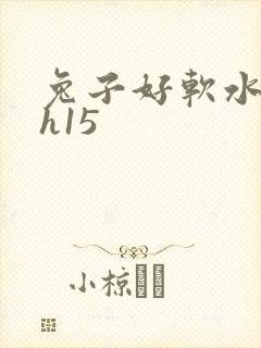 兔子好软水好多h15