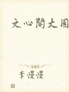 文心阁大团结封面