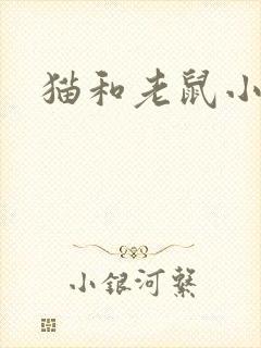 猫和老鼠小说封面